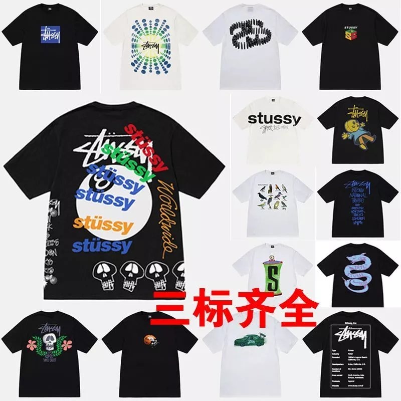 Stussy Tees (19)