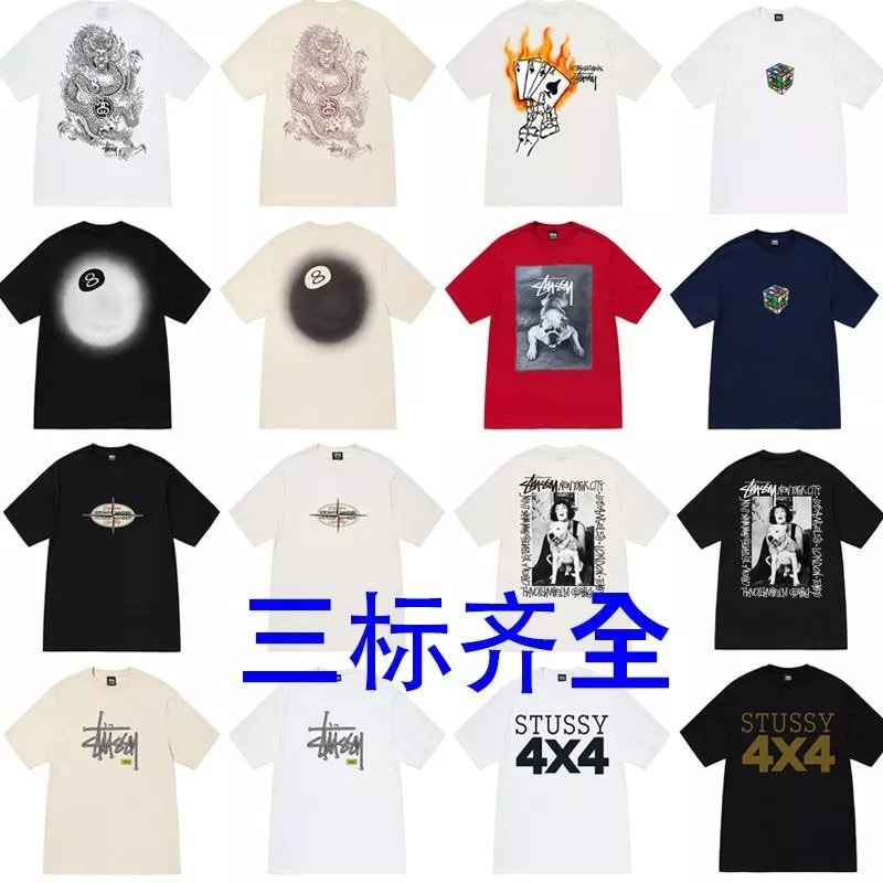 Stussy Tees (18)